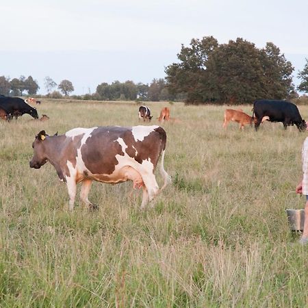 Agroturystyka Lolkowo Srokowo Esterno foto