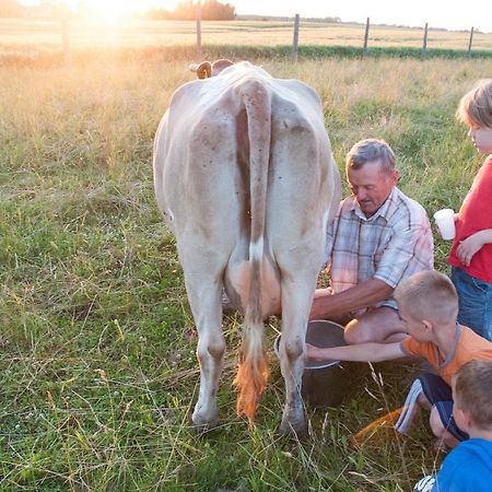 Agroturystyka Lolkowo Srokowo Esterno foto