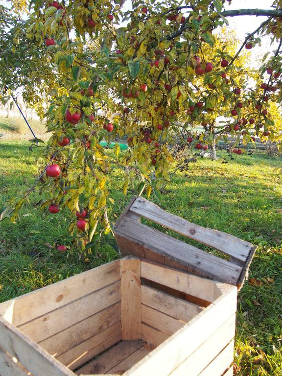 Agroturystyka Lolkowo Srokowo Esterno foto