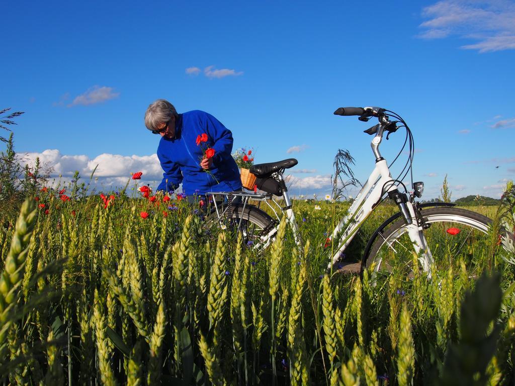 Agroturystyka Lolkowo Srokowo Esterno foto