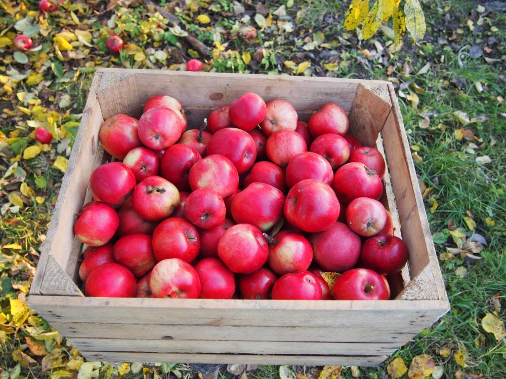 Agroturystyka Lolkowo Srokowo Esterno foto