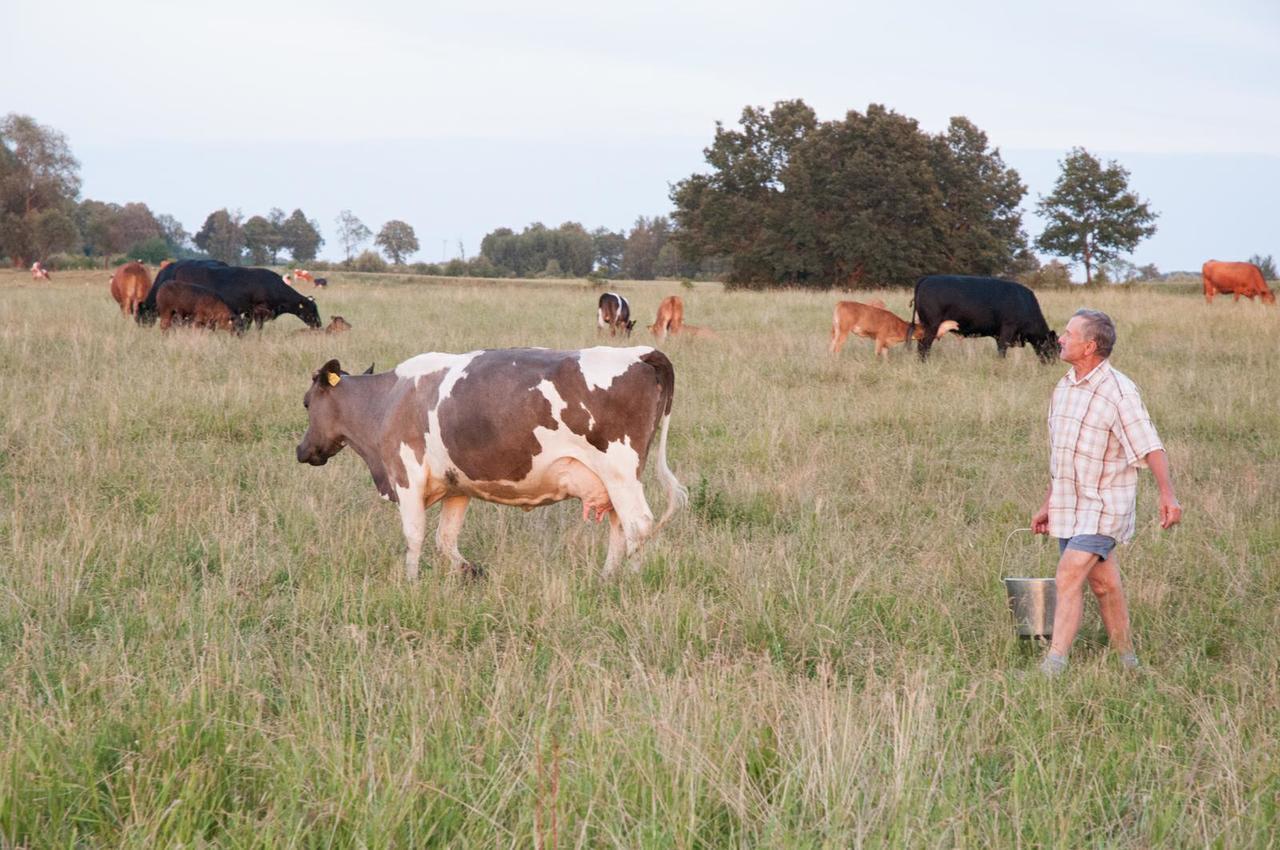 Agroturystyka Lolkowo Srokowo Esterno foto