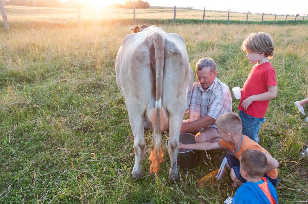 Agroturystyka Lolkowo Srokowo Esterno foto